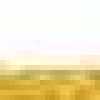 Yellow Yellow