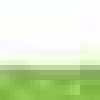 Apple Green Apple Green