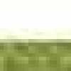 Leaf Green Leaf Green