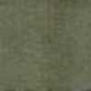 Dark Olive Dark Olive
