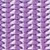 Lavender Lavender