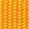 Marigold Marigold