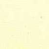Cream Yellow Cream Yellow