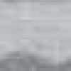 Gray Gray