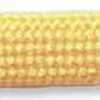 Naples Yellow