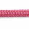 Rose Pink Rose Pink