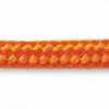 Carrot Orange Carrot Orange