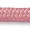 Rose Pink Rose Pink