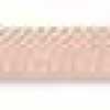 Shell Pink Shell Pink