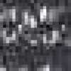 Dark Gray Dark Gray