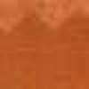 Carrot Orange