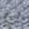 Light Gray Light Gray
