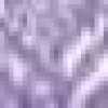 Lavender Lavender