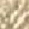 Beige Beige