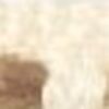 Undyed