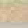 Beige Beige