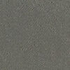 Ash Gray Ash Gray