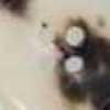 Light Beige × Black Speckles Light Beige × Black Speckles