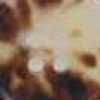 Reddish Beige × Black Speckles Reddish Beige × Black Speckles