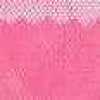 Vivid Pink