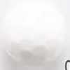 White White