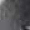Gray Gray