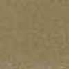 Mocha Beige Mocha Beige