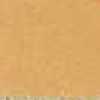 Light Orange Light Orange