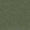 Olive Olive