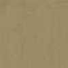 Brown Beige Brown Beige