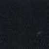 Navy Blue Navy Blue
