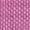 Raspberry Red Raspberry Red