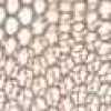Terracotta Brown Terracotta Brown