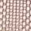 Grayish Pink Grayish Pink