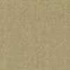 Light Beige Light Beige