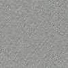 Gray Gray