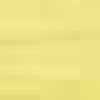 Neon Mustard Neon Mustard