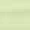 Neon Green Neon Green