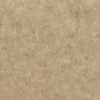 Light Beige Light Beige