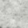 Light Gray Light Gray