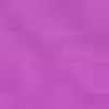 Fuchsia Purple