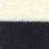 Navy Blue × Ivory Navy Blue × Ivory