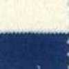 White × Blue White × Blue