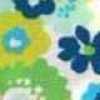 Saita Saita-Blue
