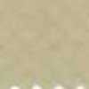 Beige Beige