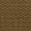 Beige Beige