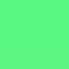 Neon Green Neon Green