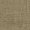 Beige Beige