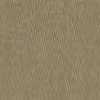 Beige Beige