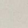 Light Gray Light Gray